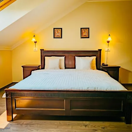 Joy Ruby Red Retreat Apartment Timişoara